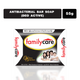 Familycare Antibacterial Bar Soap (Deo Active) 55g